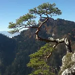 Tyrol Szczawnica