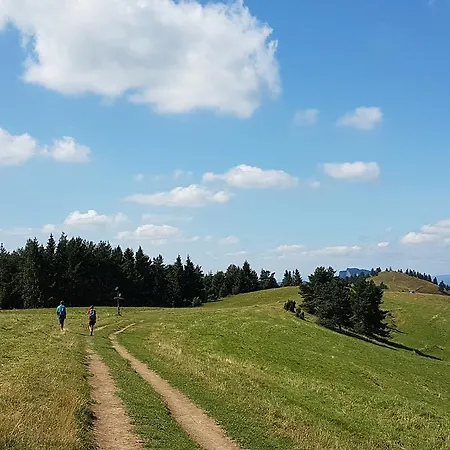 Tyrol Apartamento Szczawnica