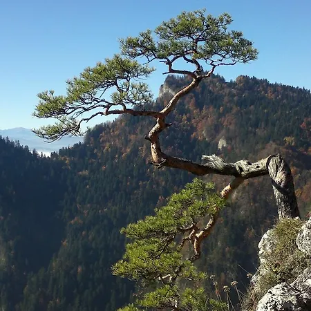 Tyrol Szczawnica